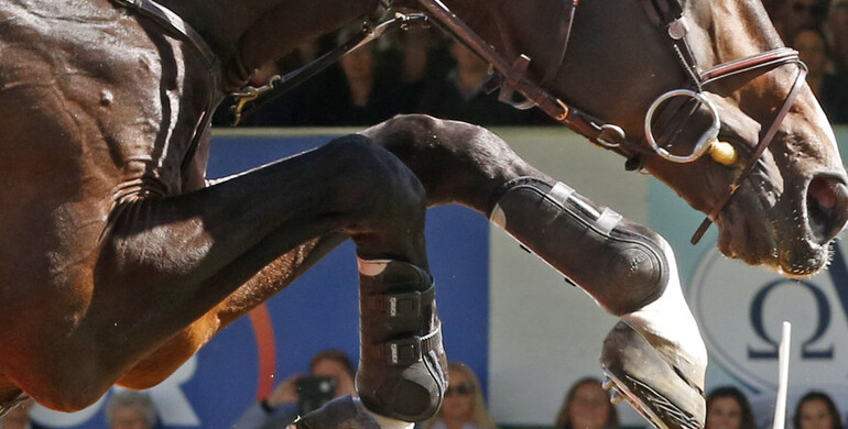 Close-up at Spruce Meadows 'Masters'