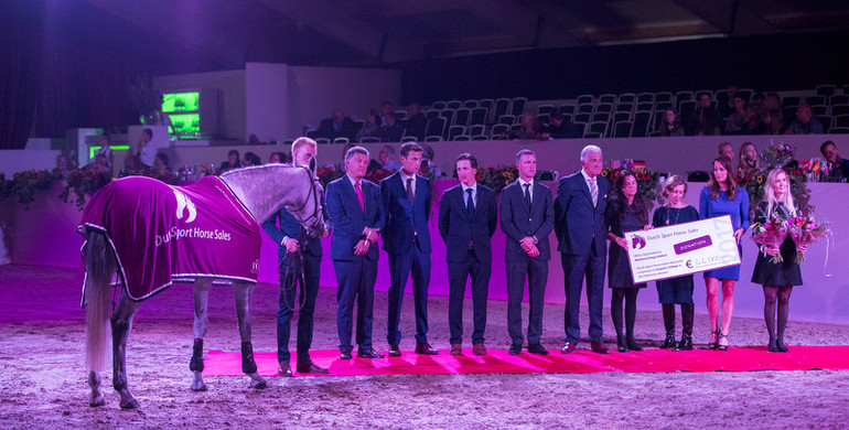 Record-breaking edition of Dutch Sport Horse Sales