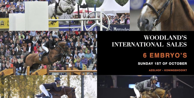Woodland's International Sales - Are you ready for tomorrow's auction?