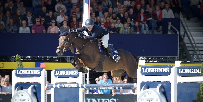 Halland van de Mispelaere to Stephex Stables