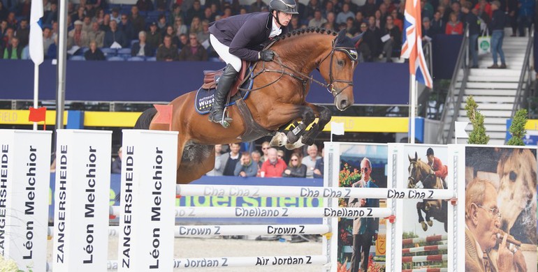 Don’t look any further! Successful in international show jumping with Holsteiner auction horses