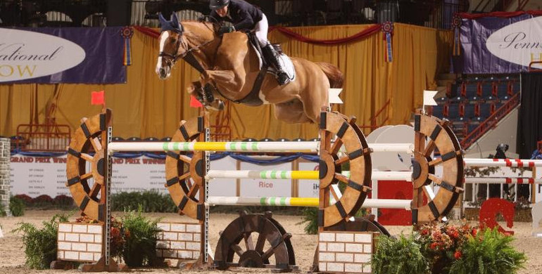 Molly Ashe and Picobello Choppin PC top $35,000 Keystone Classic at Pennsylvania National Horse Show