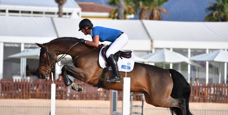 Billy Dorito to Darragh Kenny and Vlock Show Stables