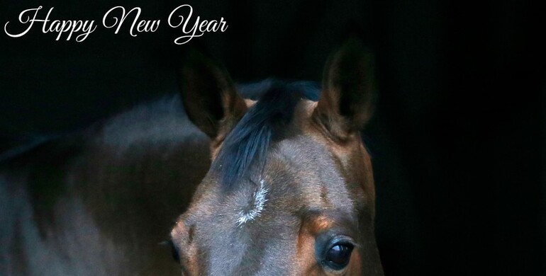 Happy New Year!