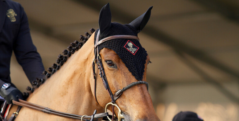 Images | Al Shira'aa International Horse Show - part three