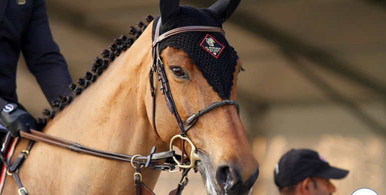 Images | Al Shira'aa International Horse Show - part three