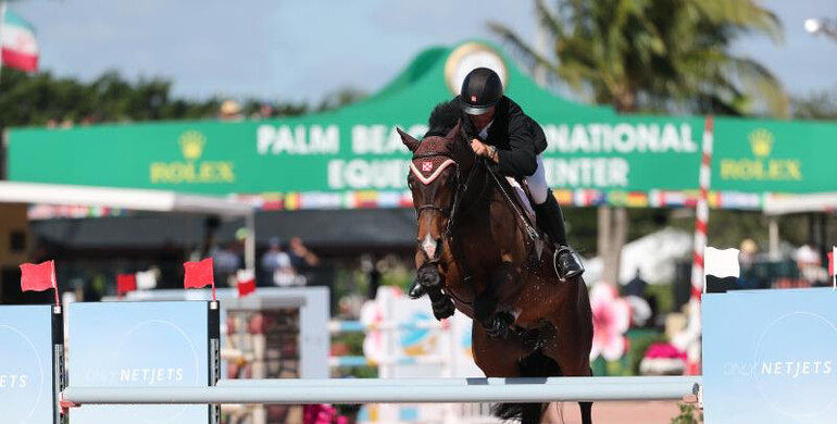Minikus goes for gumption in Hollow Creek Farm 1.50m Championship Jumper Classic