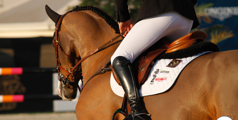 The horses, riders and teams for CSIO5* Abu Dhabi