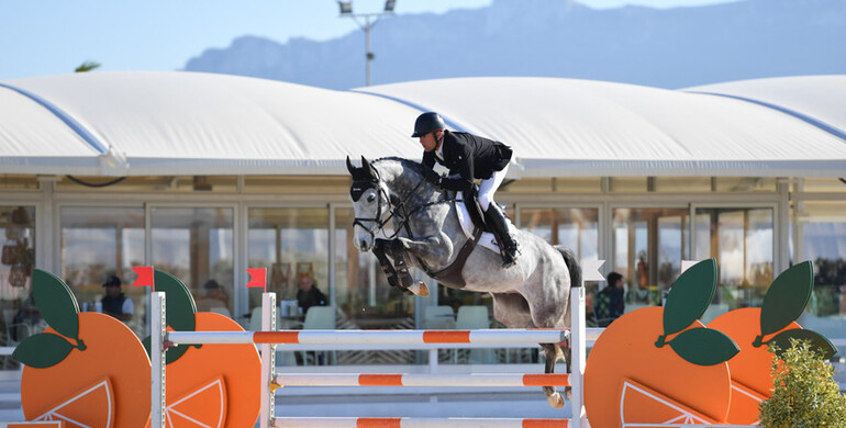 Young Horse Finals presented by Absolute Horses kick-start the second week of Spring MET 2018
