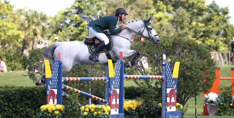 Fresh partnership claim Hollow Creek 1.50m Classic