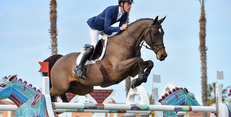 Can't beat Brash: Third Grand Prix victory for the British rider at Spring MET 2018