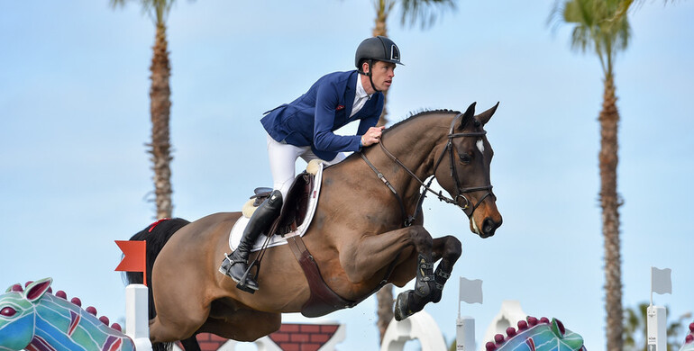Can't beat Brash: Third Grand Prix victory for the British rider at Spring MET 2018