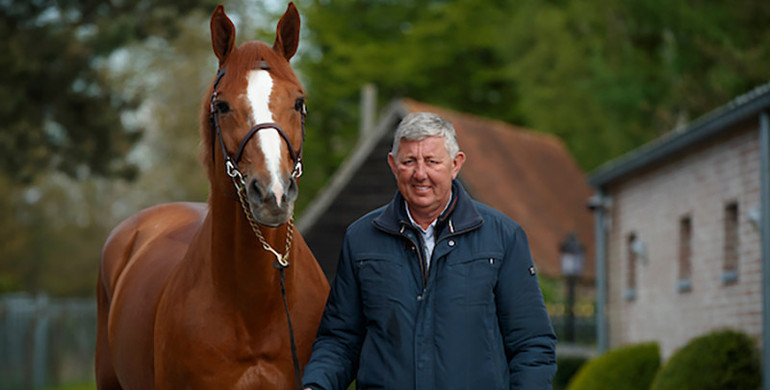 Axel Verlooy: “Belgian pedigrees will keep defending the Stars and Stripes”