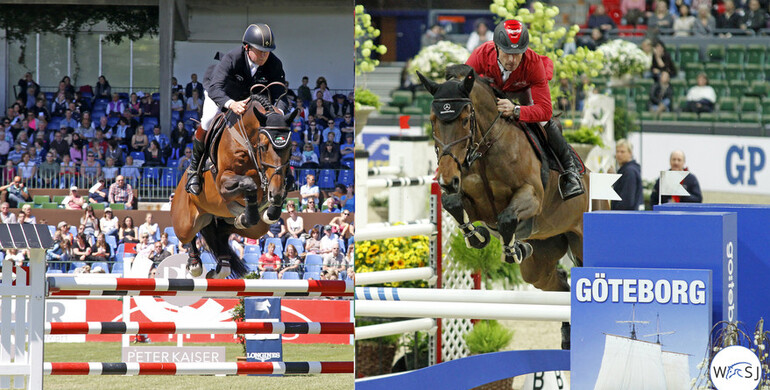 An heir for Carlina and Big Star