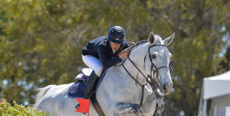 Tisbo tops $35,000 CSI3* Longines FEI world ranking class at Live Oak International