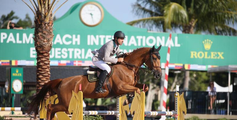 Brazil and Ireland pocket wins on Friday during final week of 2018 WEF