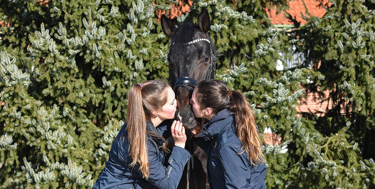 Friends for a lifetime from Verden