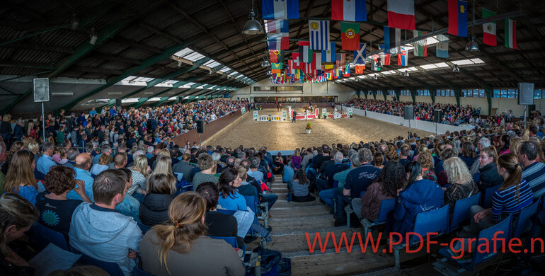 Highlights from the VDL Stud Stallion Show