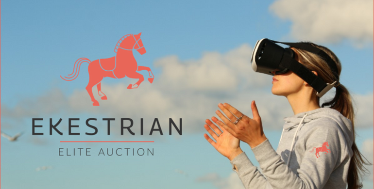 Discover the 2- and 3-year-old horses in virtual reality, and exceptional foals and embryos during the next Ekestrian Elite Auction on June 18th and 19th
