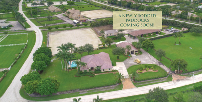 Illustrated Properties secures listing for Wellington property owned by two-time Olympic gold medalist