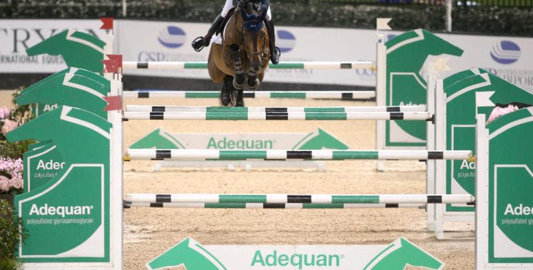 Shulman glides to first in Adequan® Grand Prix CSI 2* at Tryon