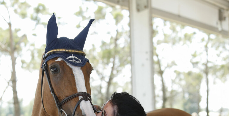 Images | The Rolex Grand Prix powered by Audi at Knokke Hippique, part one