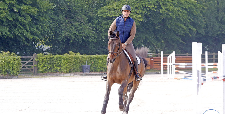 Expert advice – with Rodrigo Pessoa: “Keep the horses in a good state of mind”