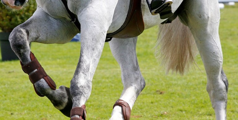 This weekend's CSI2* Grand Prix winners