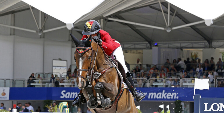 Sea Coast Pebbles Z crowned Horse of the Year 2018 in Belgium