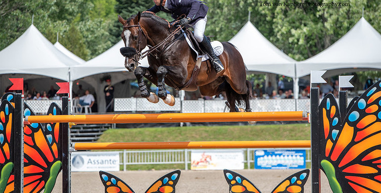 Jonathan McCrea and Aristoteles V fly to victory in the final Grand Prix