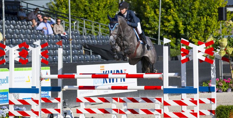 Dutch Sport Horse Sales presents high-quality collection
