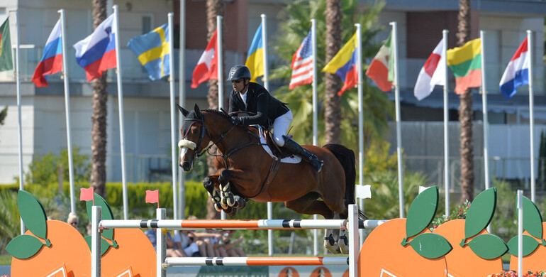 USA Normande to Margie Engle