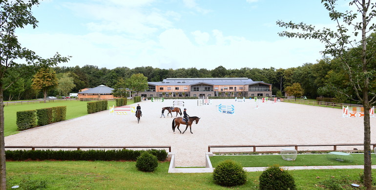 Stables to rent in modern and luxury equestrian center close to Frankfurt