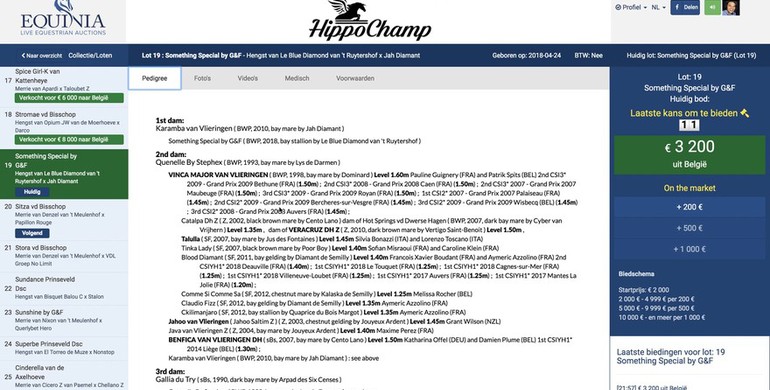 LIVE online auction of HippoChamp.com heralds new era