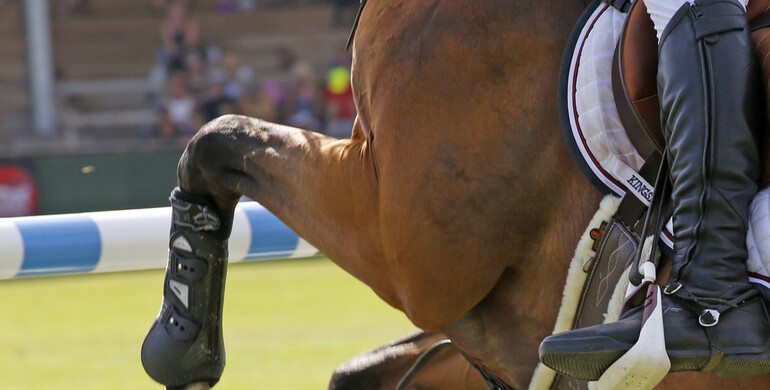 This weekend's CSI2* Grand Prix winners