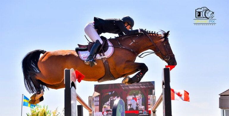 Rufer rules the $100,000 CSI2* Grand Prix at Split Rock Jumping Tour's Sonoma International