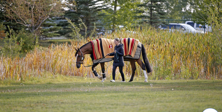 Out and about at Spruce Meadows, part two