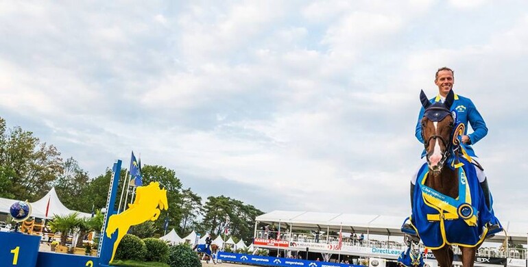 Take a Chance On Me Z wins the FEI Sires of the World at Zangersheide