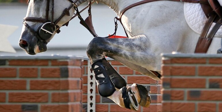 FEI publishes return to play policy as equestrian adapts to “new normal”