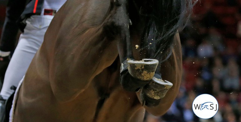 Postponement of Olympic Games does not affect implementation of new FEI hind boot rule