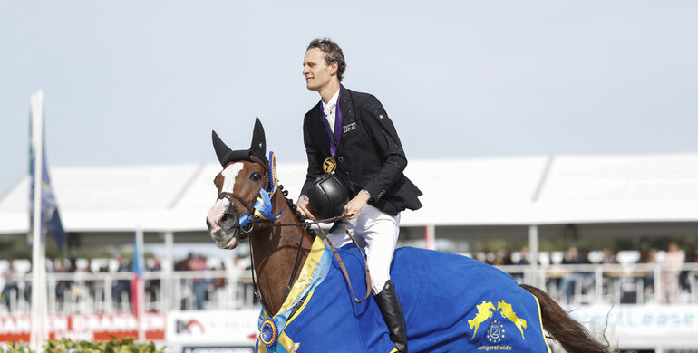 Gold for Mystic van 'T Hoogeinde at the FEI World Breeding Jumping Championships for 6-year-old horses