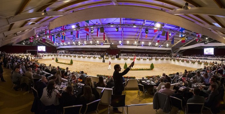 Good prices for well bred jumping foals at Limburg Foal Auction