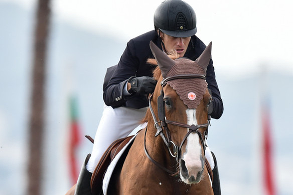 Pedro Veniss saves the best for last in the CSI2* Grand Prix presented by CHG at the Autumn MET 2018