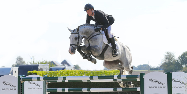 Holger Hetzel Sport Horse Sales presents: Man in Motion