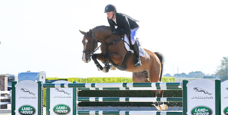 Holger Hetzel Sport Horse Sales presents: Bella Ciao