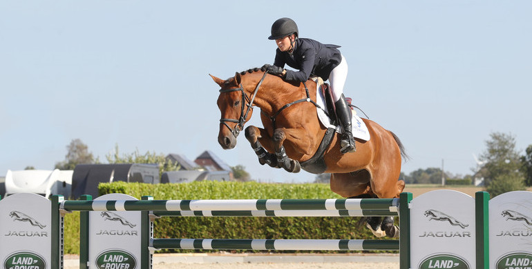 Holger Hetzel Sport Horse Sales presents: Little Joe