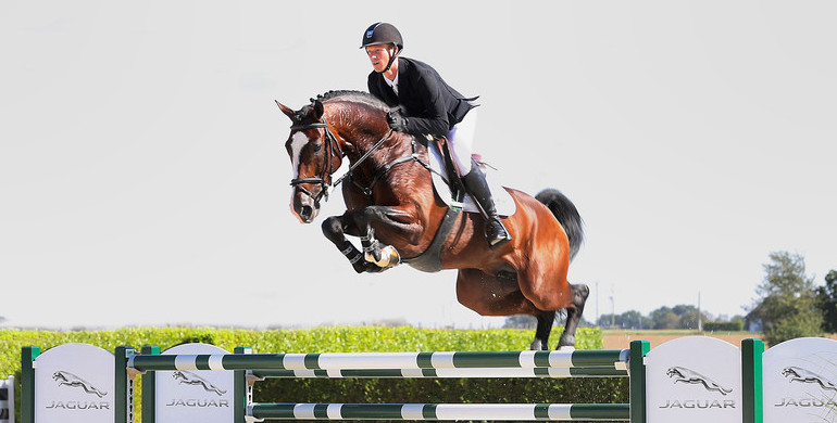 Holger Hetzel Sport Horse Sales presents: Dacantos