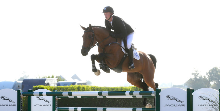Holger Hetzel Sport Horse Sales presents: Flieger