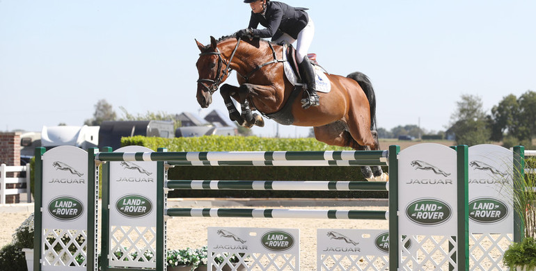 Holger Hetzel Sport Horse Sales presents: My Guy