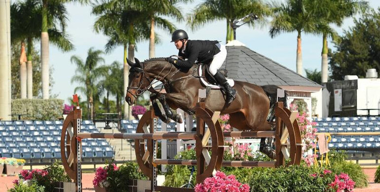 Shane Sweetnam sweeps Dover Saddlery Holiday & Horses Opener